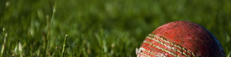 日本对阵德国小组赛回放 - 日本队球员庆祝进球的瞬间